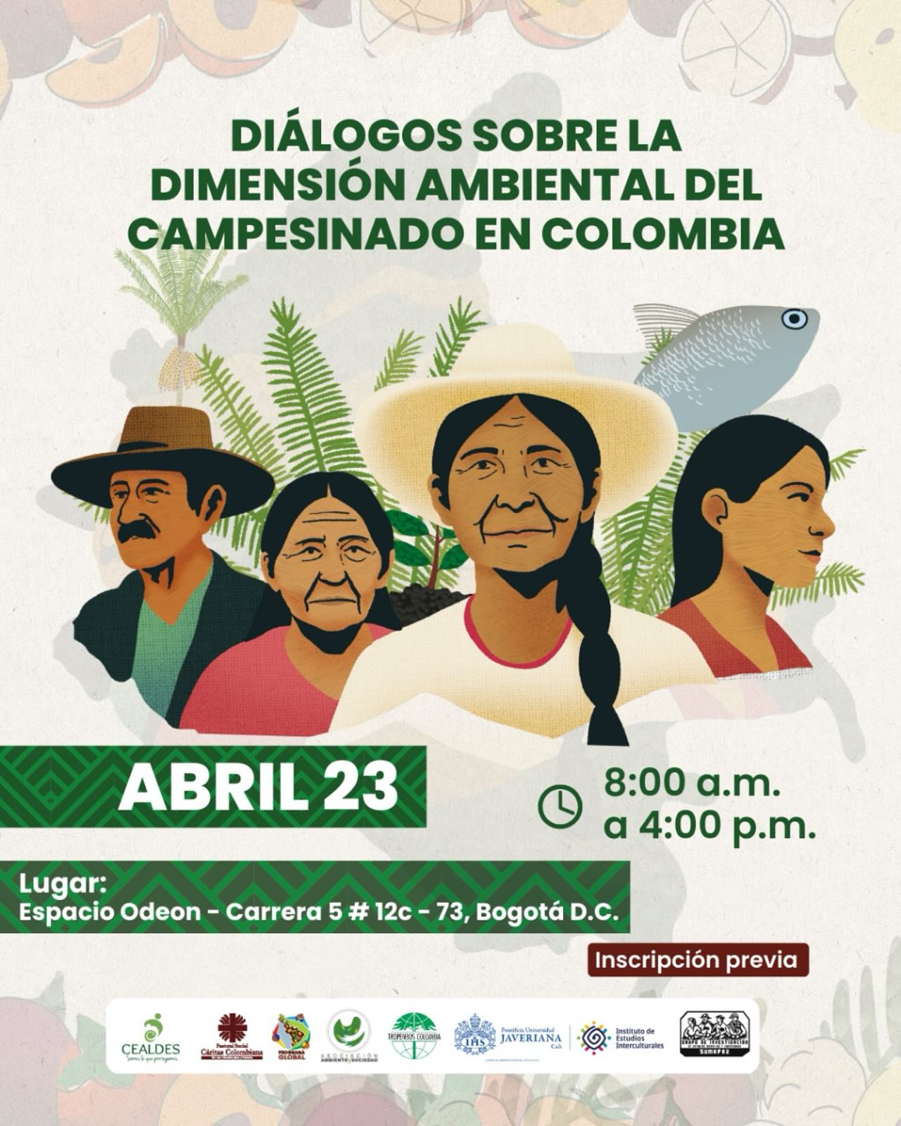 No se encontro la imagen