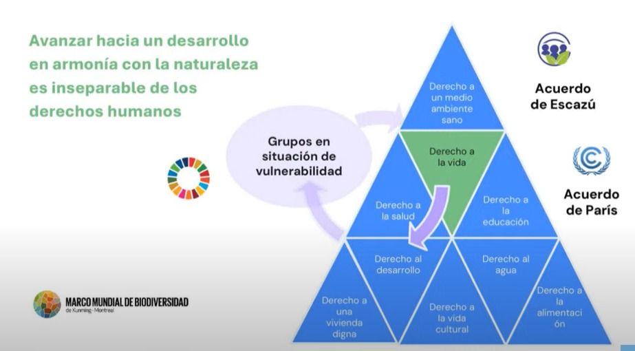 No se encontro la imagen