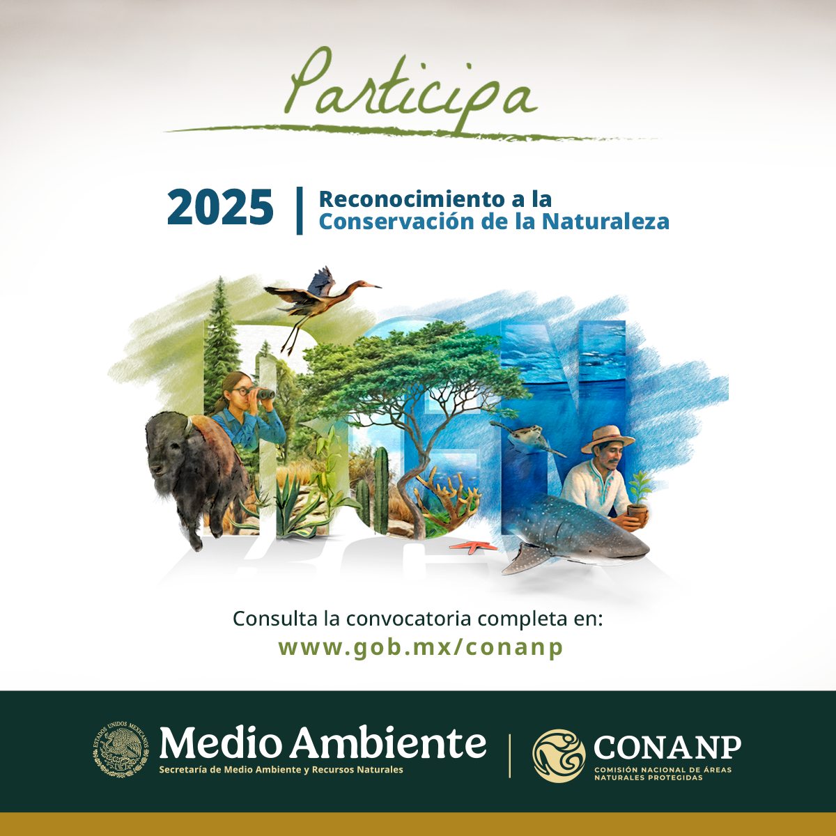 No se encontro la imagen