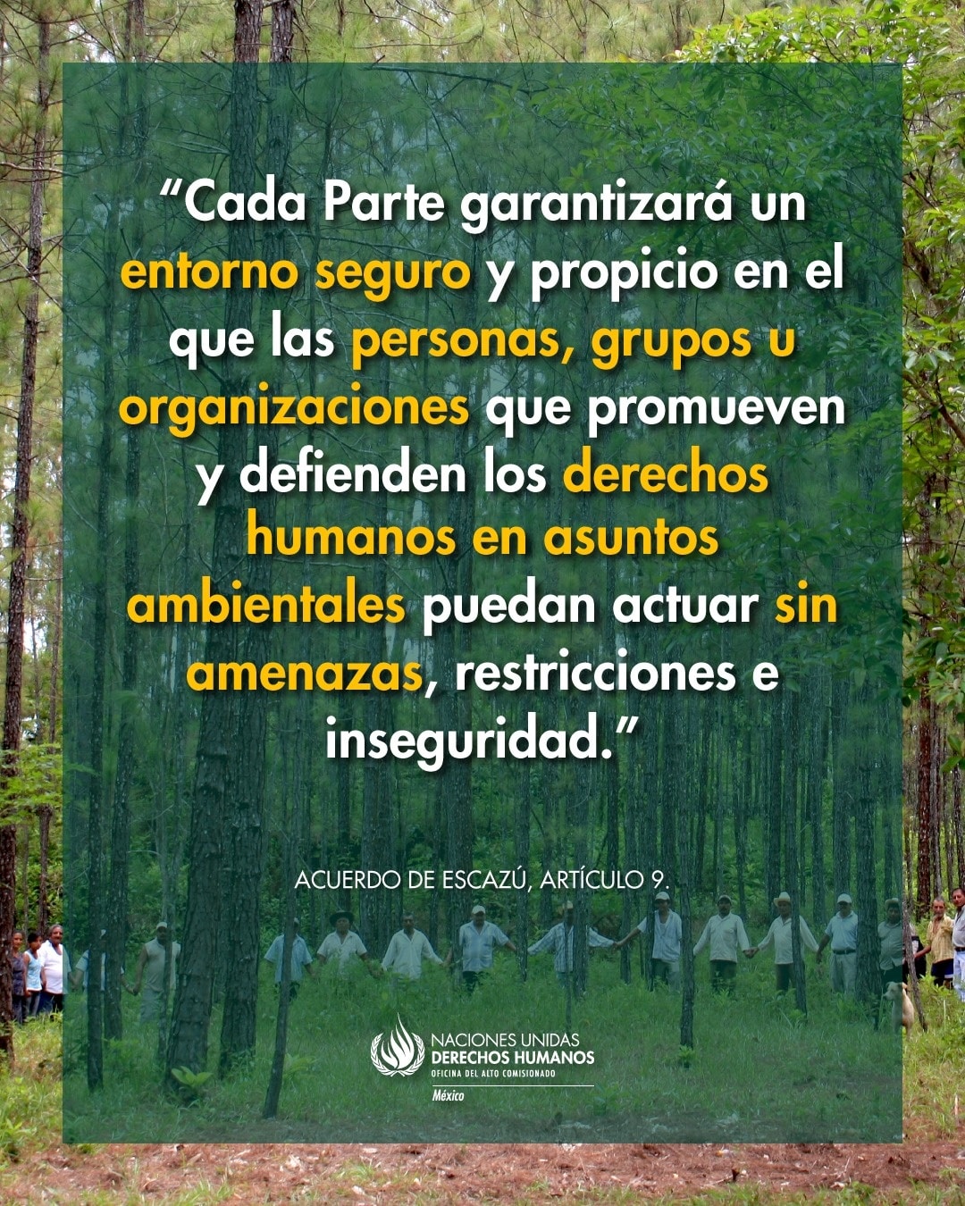No se encontro la imagen