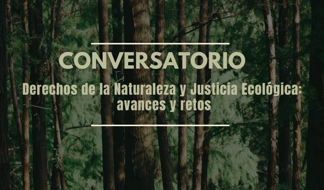 No se encontro la imagen