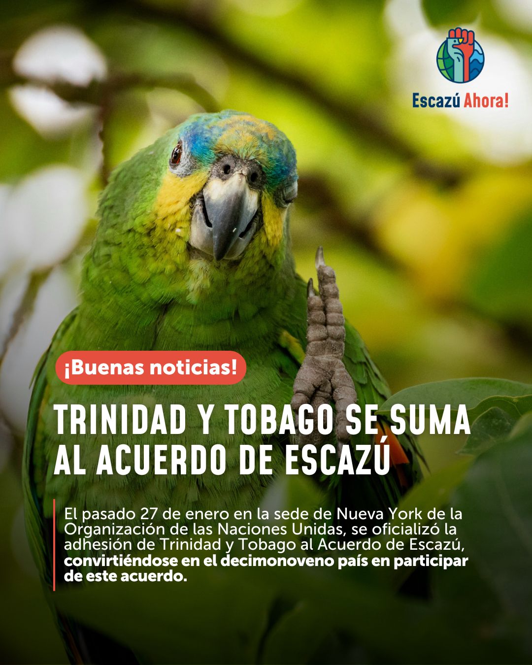 No se encontro la imagen