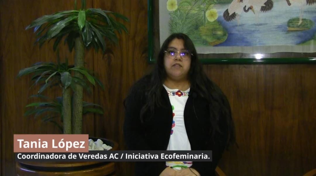 No se encontro la imagen