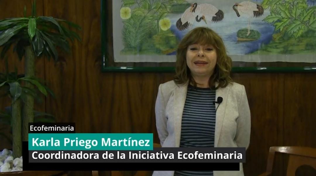 No se encontro la imagen