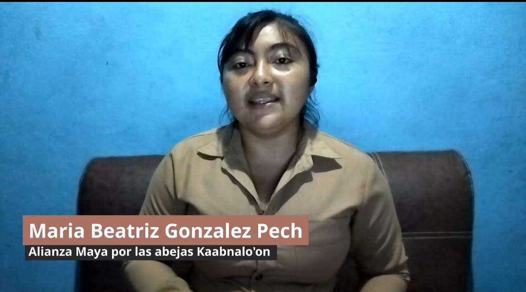 No se encontro la imagen