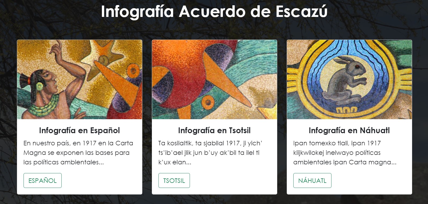 No se encontro la imagen