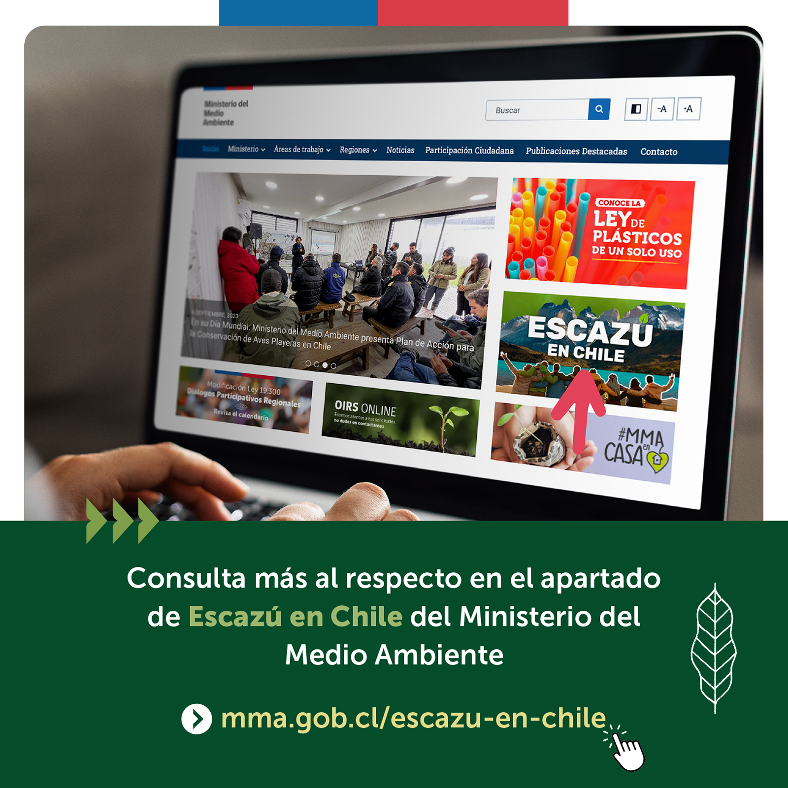 No se encontro la imagen