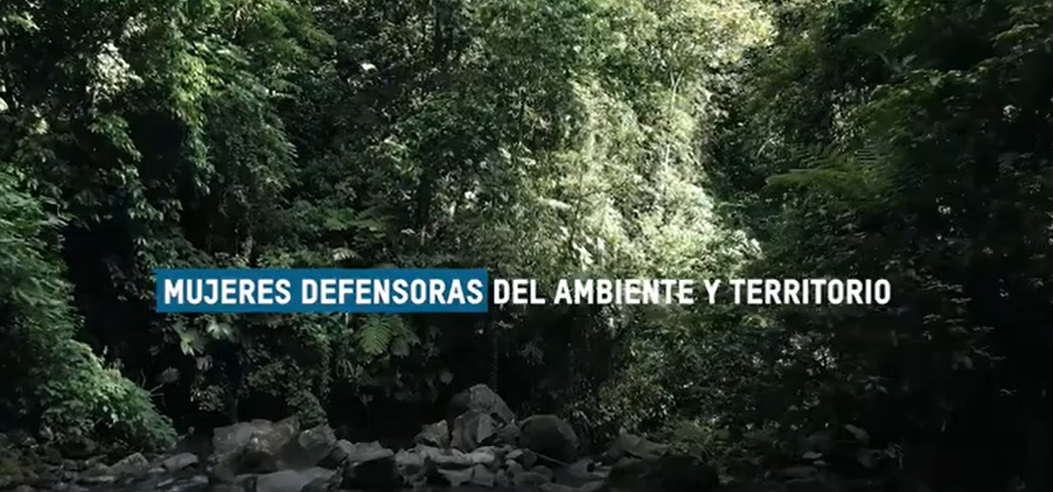 No se encontro la imagen