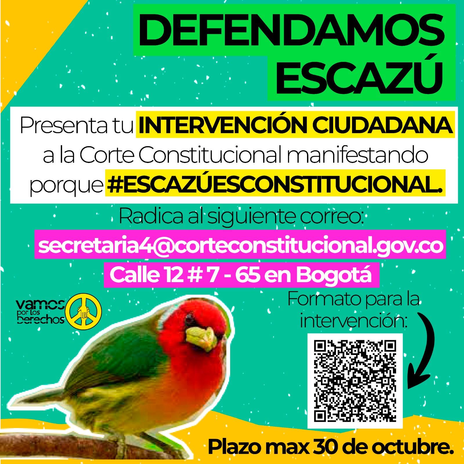 No se encontro la imagen