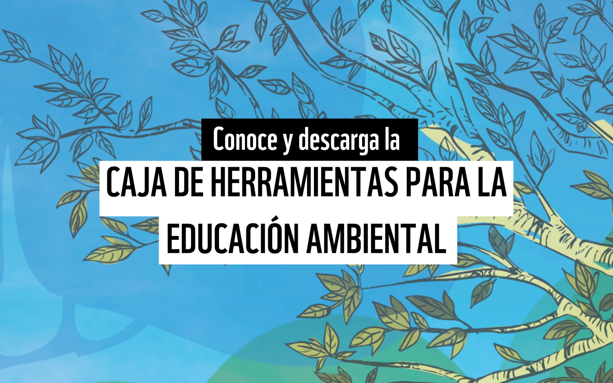 No se encontro la imagen