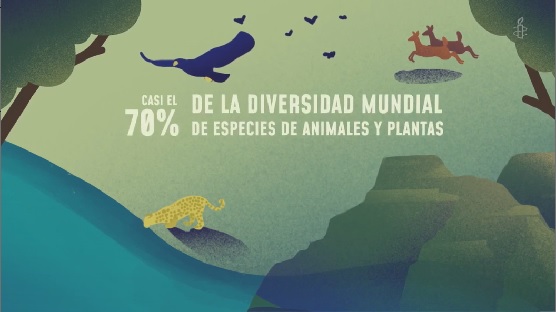 No se encontro la imagen